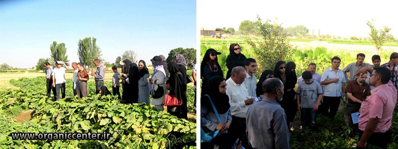 Gokarn Farm No2 khomeinishahr peaple visit www.organiccenter.ir